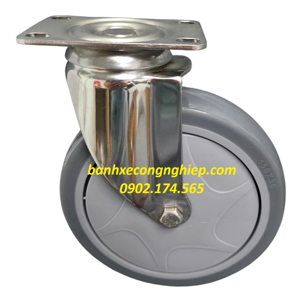 Bánh xe TPR 150x36mm càng inox 304 xoay Caster Serie 2 tải trung