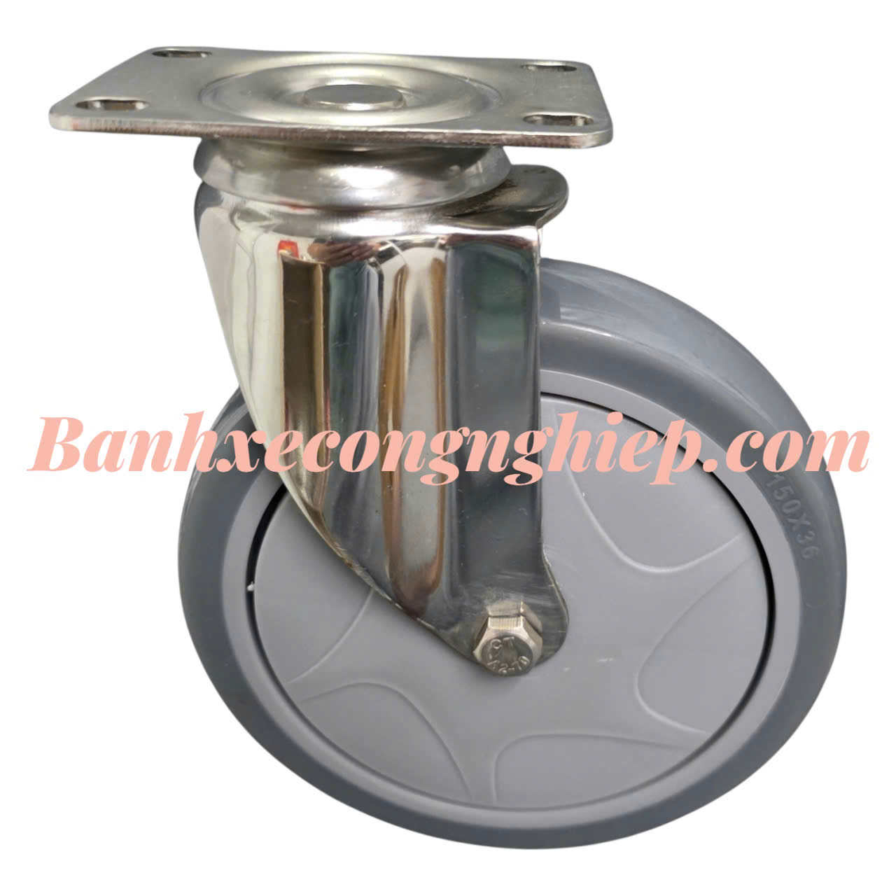 Bánh xe TPR 150x36mm càng inox 304 xoay Caster Serie 2 tải trung